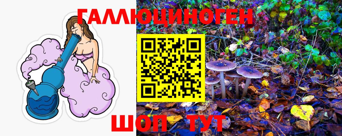 Псилоцибиновые грибы Psilocybine cubensis Нефтекамск